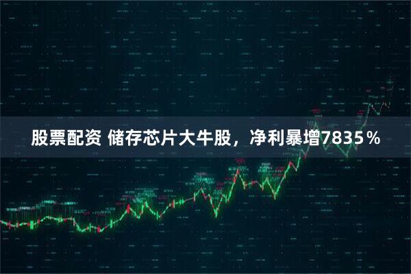 股票配资 储存芯片大牛股，净利暴增7835％
